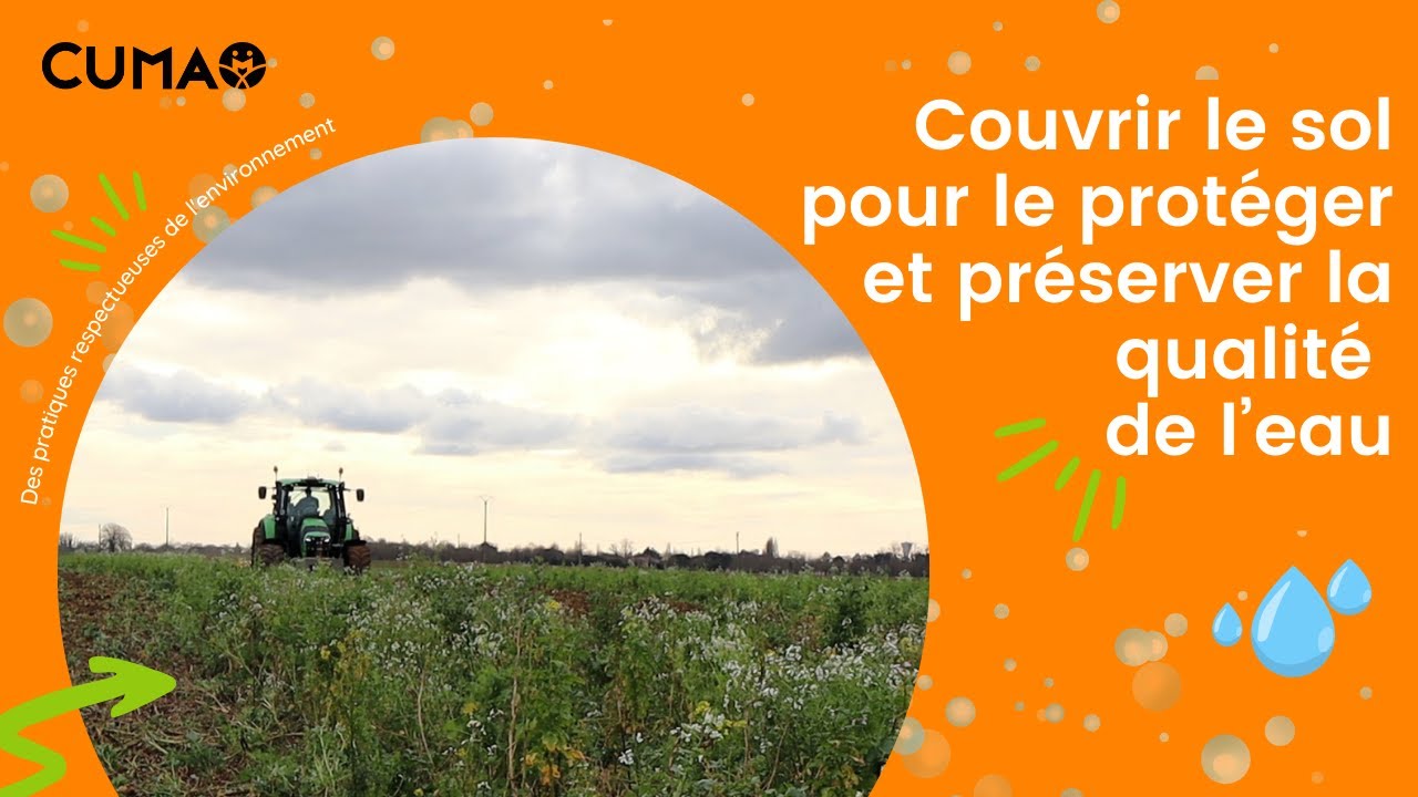 Couvrir le sol pour le protéger et préserver la qualité de l’eau