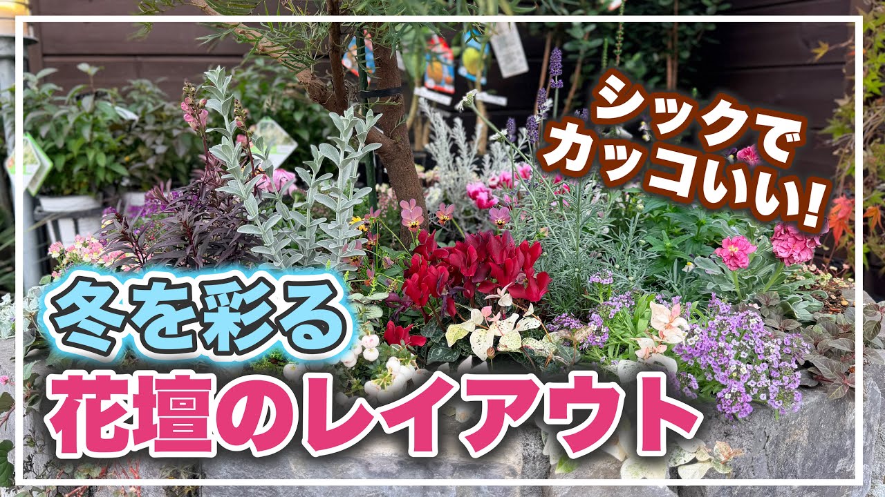 冬をシックに彩る花壇の植え込み！【アンティーク花壇】
