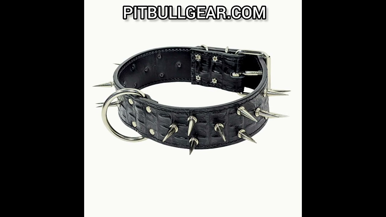 Custom made 2" Wide Black Croc Leather Spiked Collar