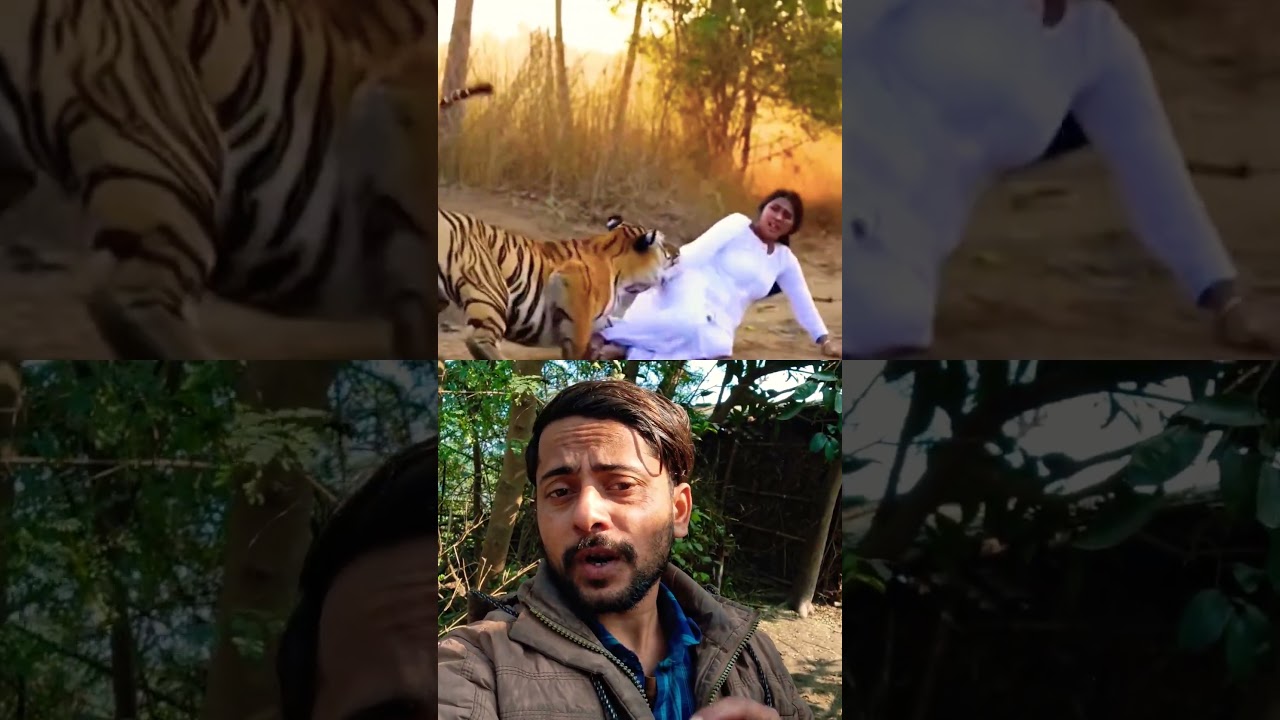 Tiger Attack | Indian Army Rescue 🔥 