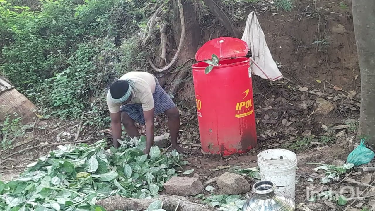 எருக்கு இலைகரைசல் தயார்த்தல்(Preparation of Erukku leaf solution)