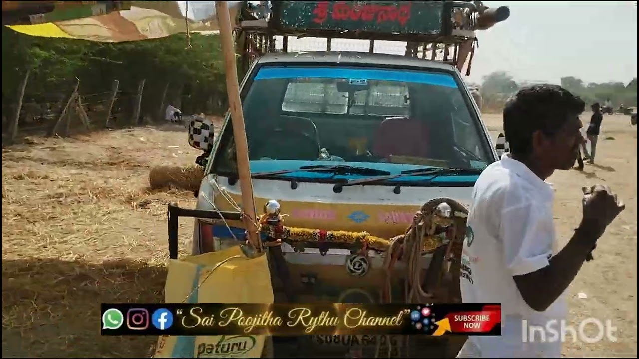 🏆🏅🎖️శ్రావన్ రెడ్డి గారి సీనియర్స్ గిత్తలు వనపర్తి జిల్లా..1560.07* అడుగులు 🍁🍁🍁🍁🍁🍁🍁🍁🍁🍁🍁🍁🍁🍁🍁