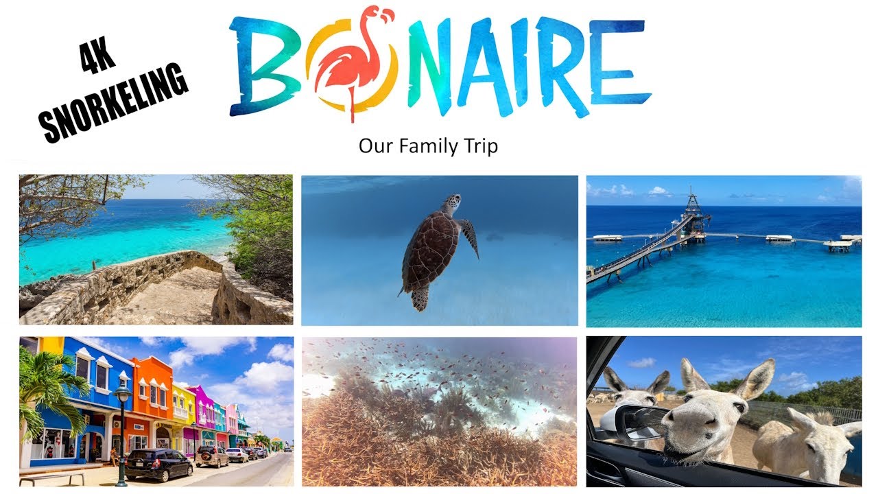 Bonaire 4K Snorkeling - Our Family Trip
