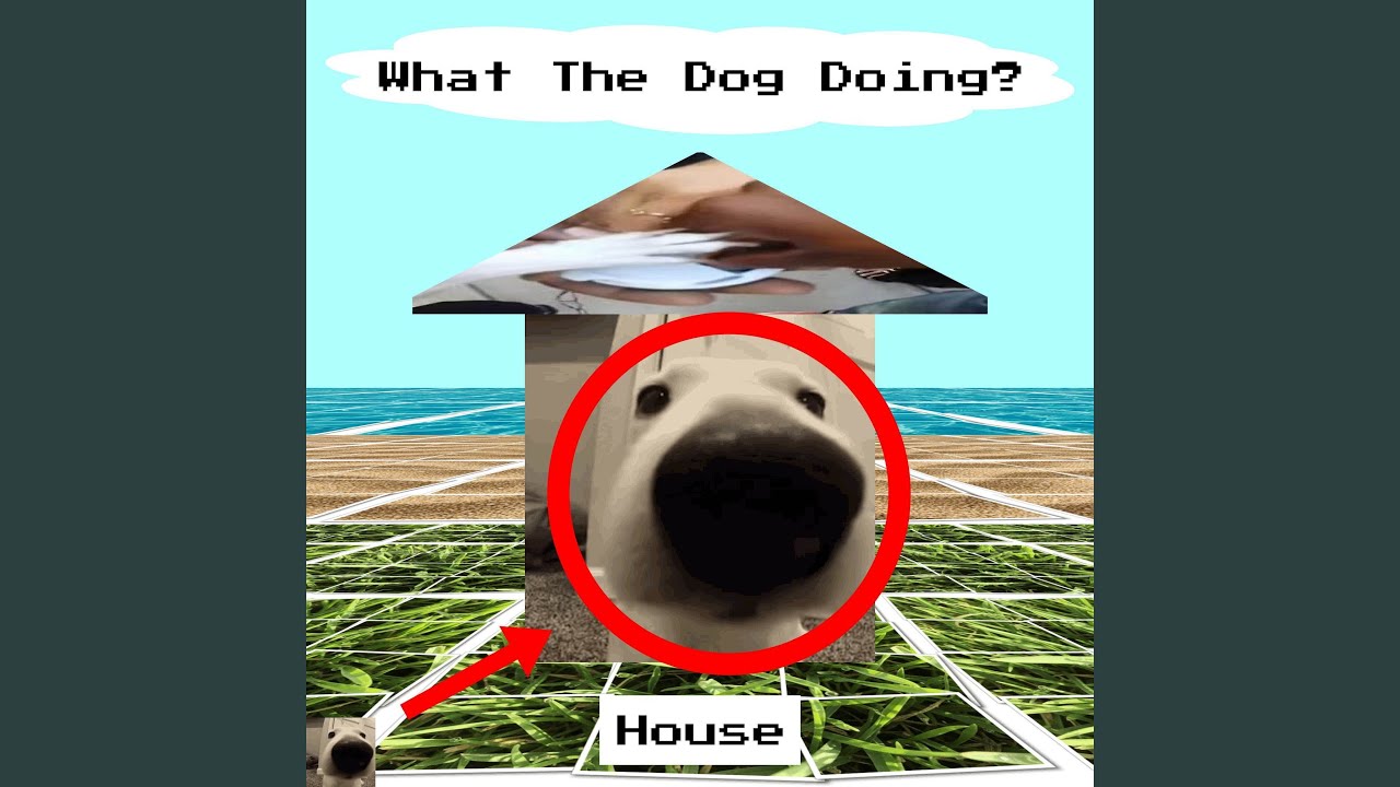 What The Dog Doing? House (Slowed + Reverb)