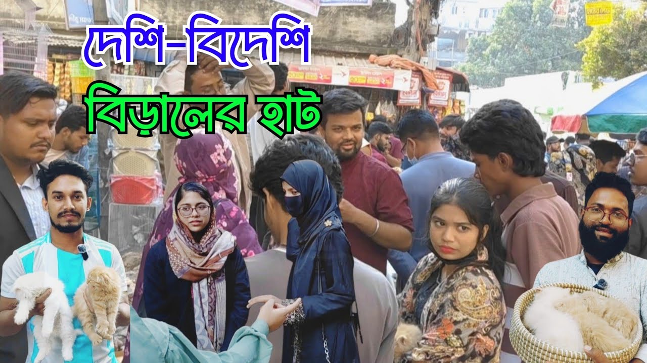 ঢাকার যে হাটে বেচাকেনা হয় বিদেশি বিড়াল || মিরপুর ১ বিড়াল হাট || Persian cat || Mirpur cat market