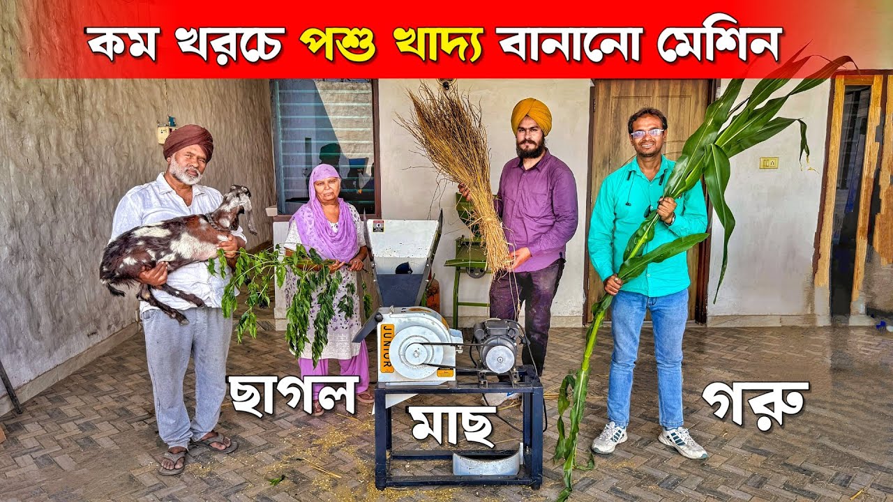Goat Fish Cow Feed Making Machine | বিনা খরচে পশু খাদ্য বানানোর মেশিন | Animal Feed Making Machine
