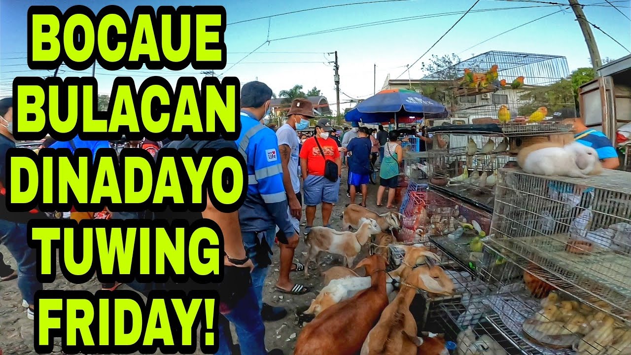 DITO KA PWEDENG MAMILI NG MGA PANINDANG HAYOP!
