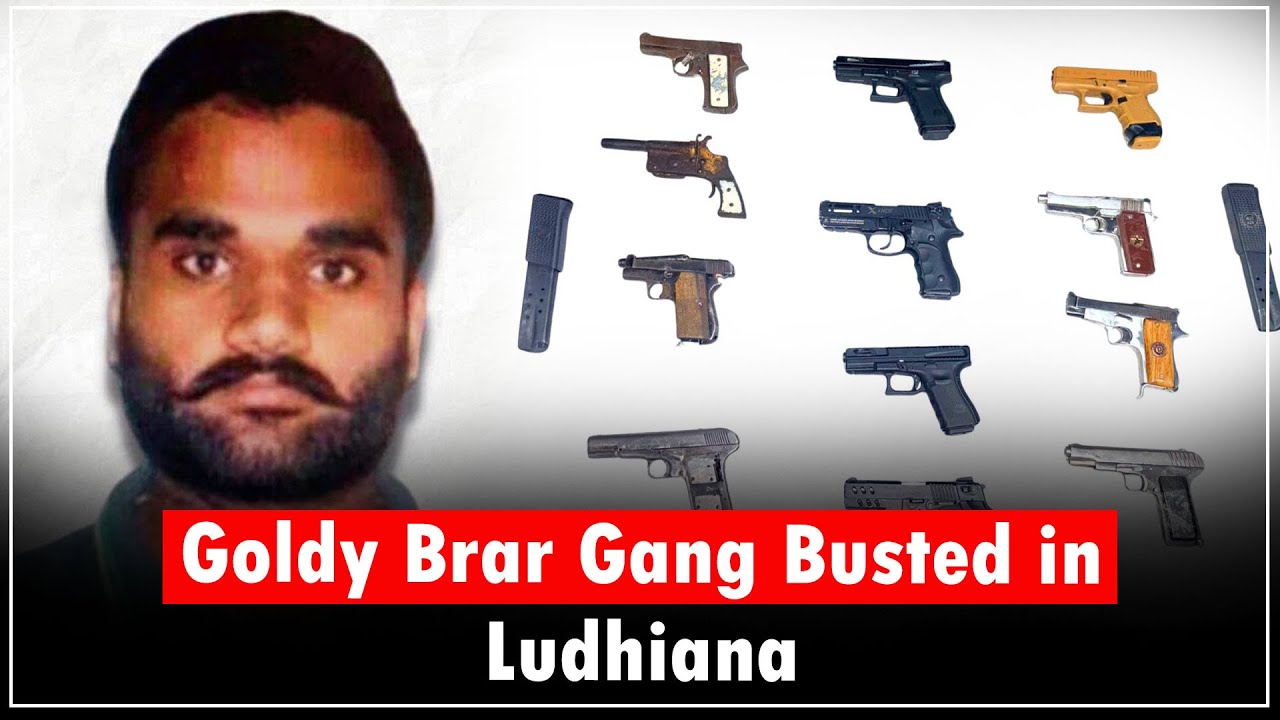 Ludhiana Police Bust Goldy Brar–Linked Arms & Extortion Syndicate, 12 Sophisticated Weapons Seized
