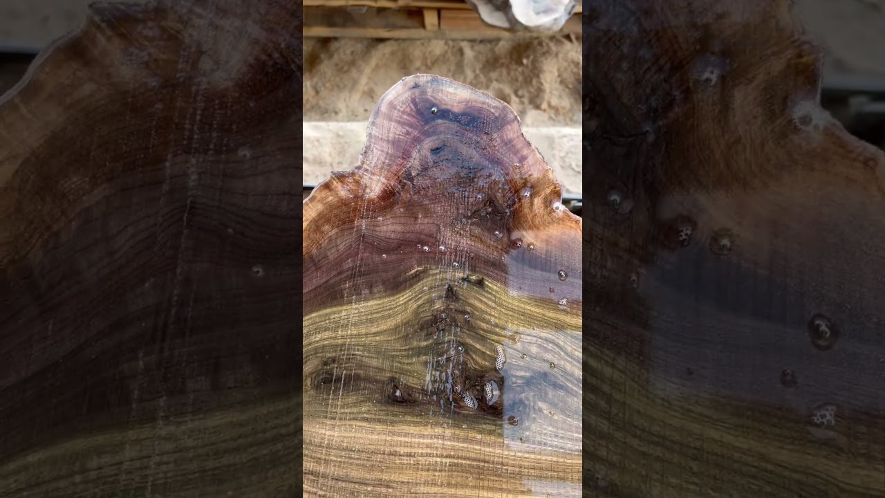 MUST SEE Black Walnut Burl