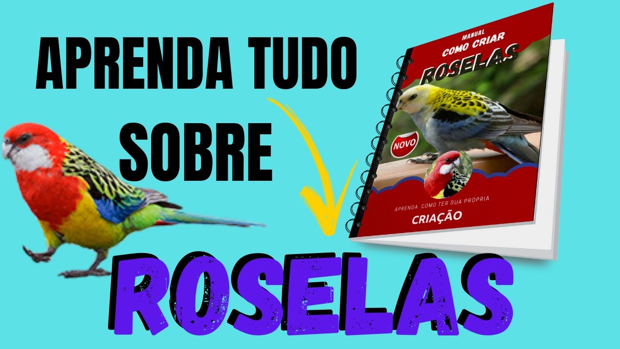 COMO CRIAR E CUIDAR DE ROSELAS - MANUAL COMO CRIAR ROSELAS PASSO A PASSO - BAIXAR AGORA MESMO
