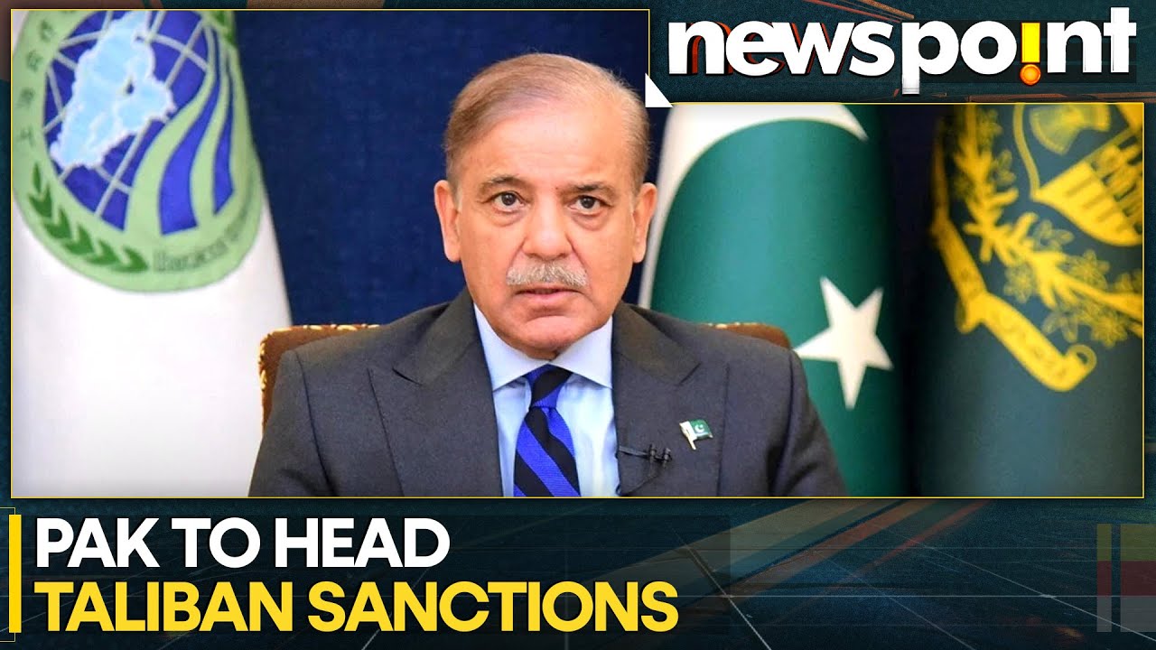 Pakistani Envoy Appointed Chair Of UNSC's 1988 Sanction Committee | World News | Newspoint