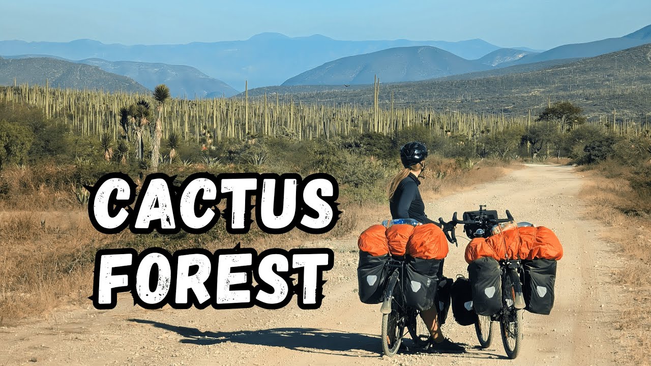 Cycling Through a Cactus Forest in Mexico
