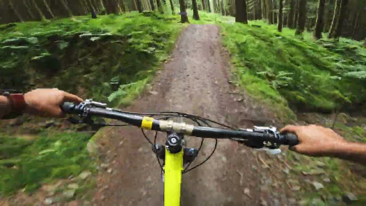 Bike Park Wales | Terrys Belly | GoPro Hero 10 Black