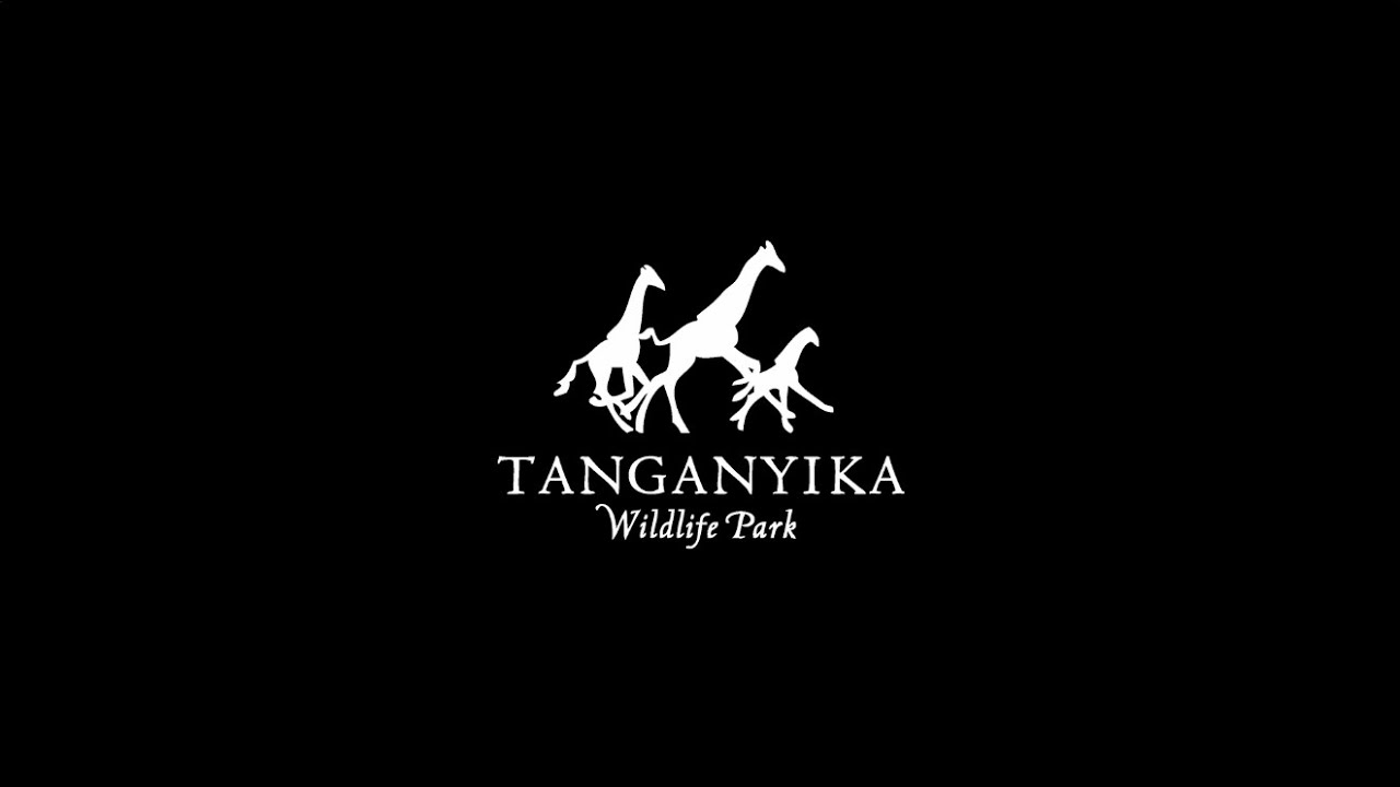 DJH VO Project - Tanganyika Wildlife Park Origins