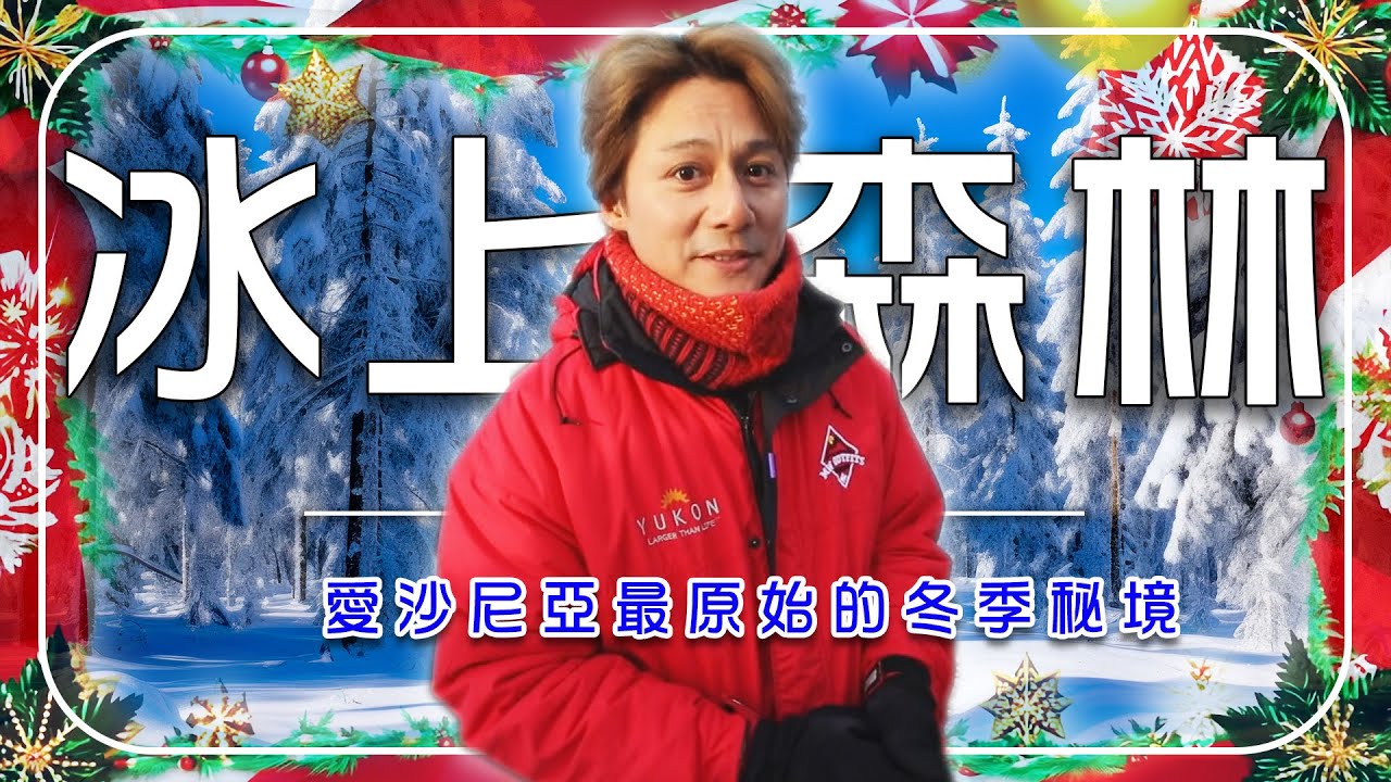 【冰上森林】愛沙尼亞索馬國家公園冬日雪景探險｜聲音消失的雪地秘境｜