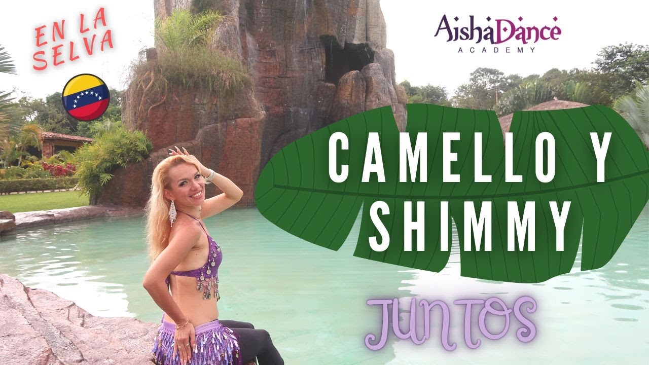 CAMELLO + SHIMMIE JUNTOS | CAPAS DE MOVIMIENTOS | DANZA ÁRABE | DEL VIENTRE ORIENTAL AISHA