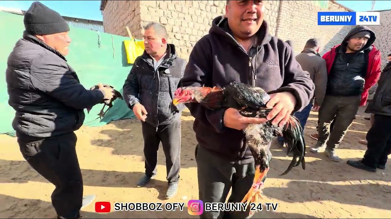 БЕРУНИЙ ТОВУК БОЗОРИ 22.02.2026