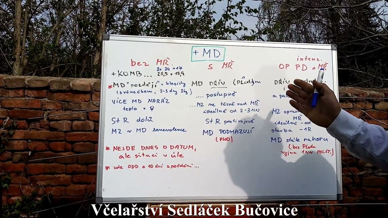 66/22 Nasazování medníků u různých metodik včelaření - i bez mřížky 1/2 1.5.22