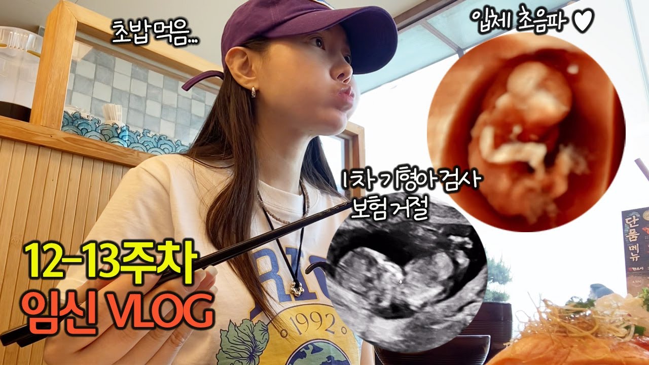 (VLOG) ep.7 임신 12-13주차 ! 1차 기형아 검사 💗 태아보험거절 당한썰 😮 초특급 두통에 시달리다... 임신 브이로그