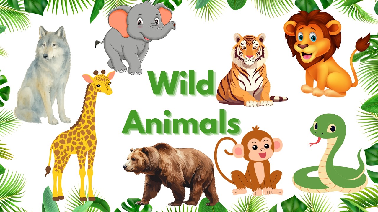 “Wild Animal Sounds for Kids - Learn Wild Animals and Their Sounds”  | Wild Animal song for kids
