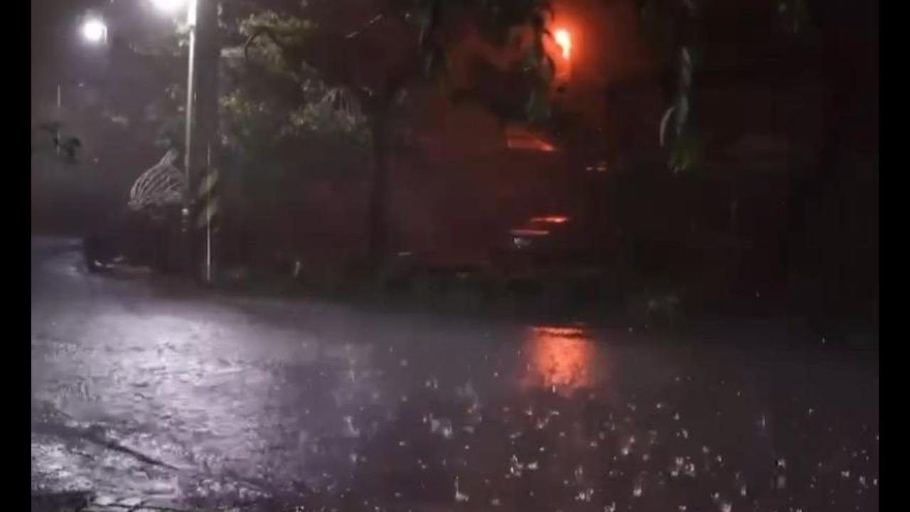 Deep Sleep Rain 🌧️ Night Rain White Noise for Sleeping All Night (11 Hours)