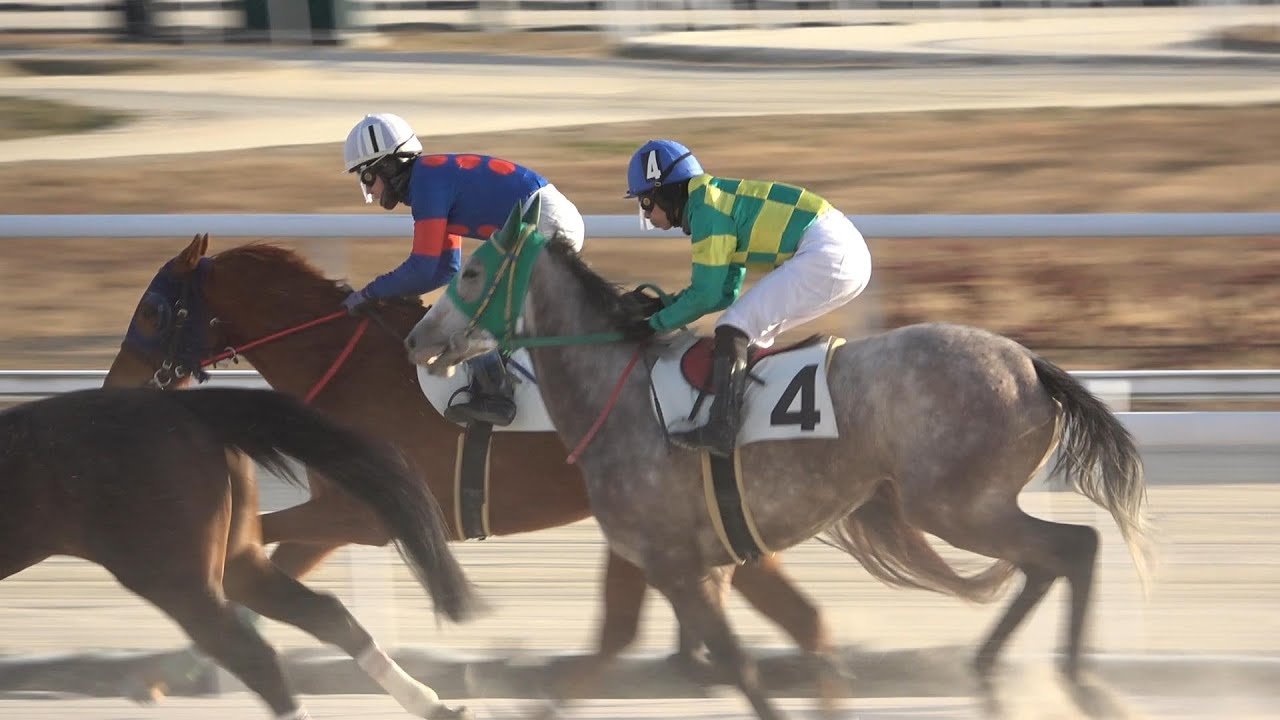 【現地撮影】2026年1月26日名古屋競馬場3Rシラガゾメ&加藤利征騎手10着