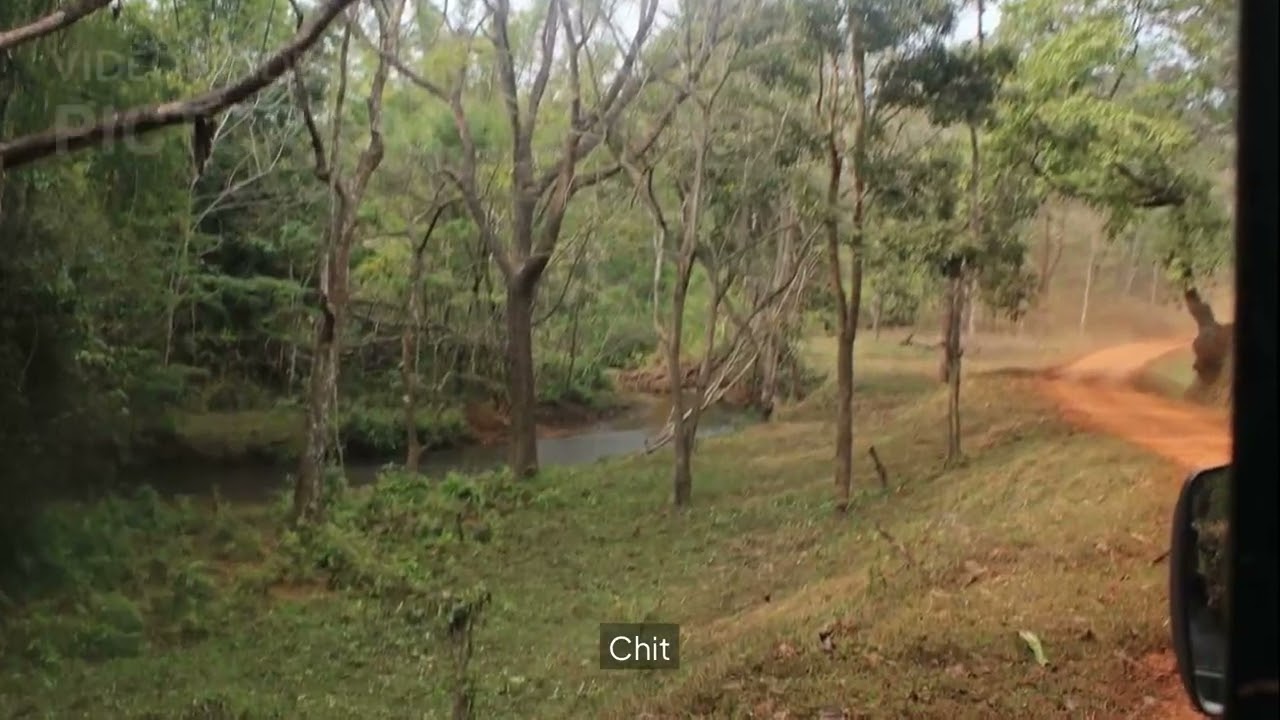 Chickmangalore chitode
