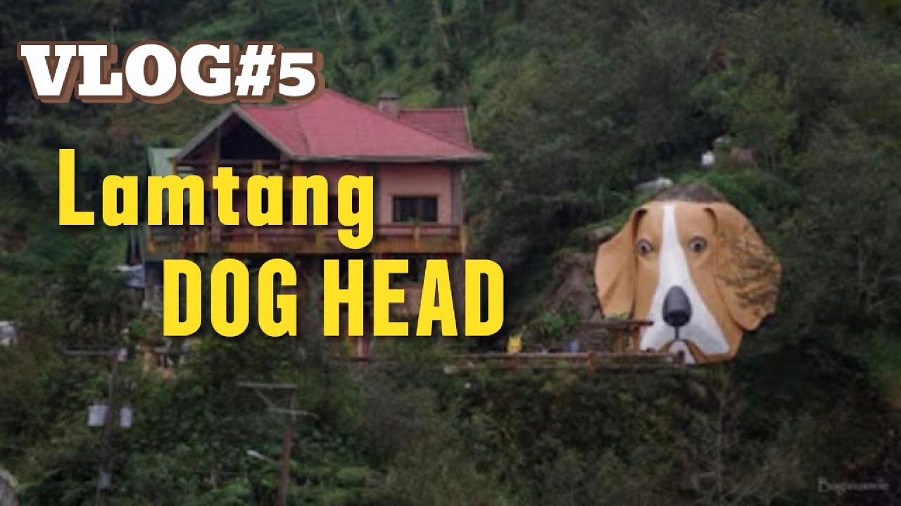 "Epic Motor Vlog: Baguio to Lamtang Dog Head Adventure!"