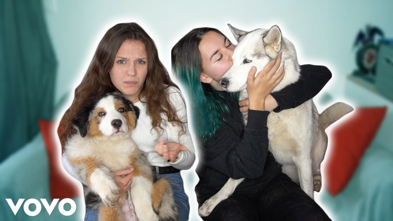 LA CHANSON DES CHIENS - Southpaw ft. Coline Sicre