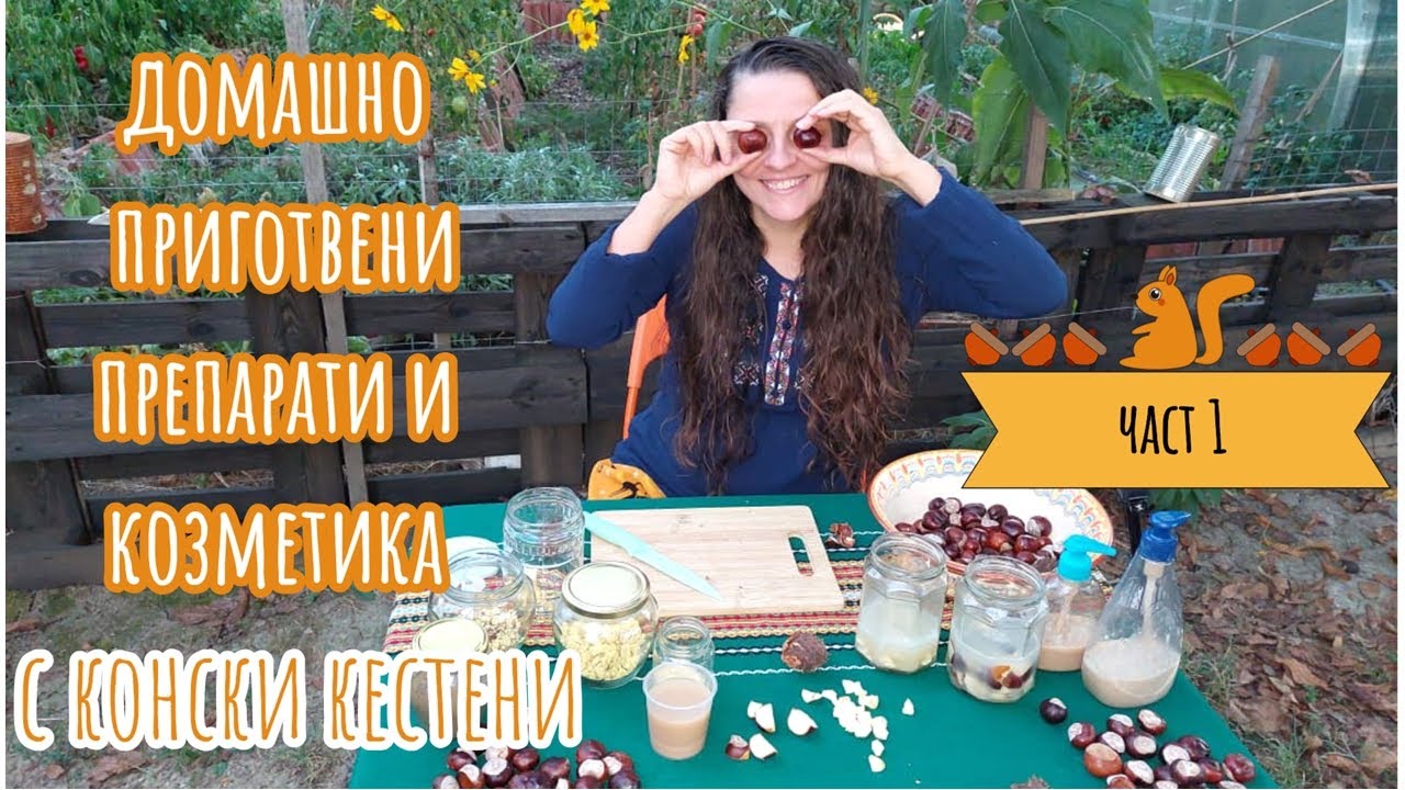 Конски кестен - домашно приготвени перилни и почистващи препарати и козметика. част 1