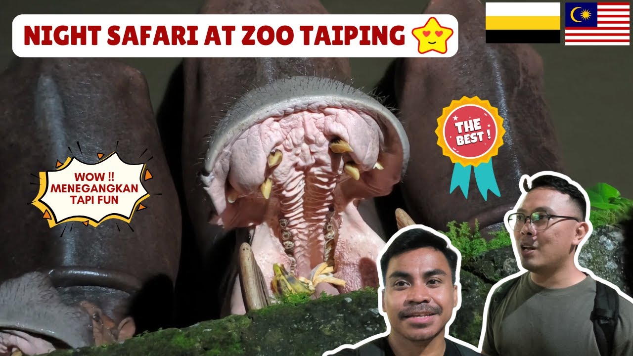 MENEGANGKAN Tapi FUN !! PENGALAMAN NIGHT SAFARI DI ZOO TAIPING, PERAK 🇲🇾 🤩