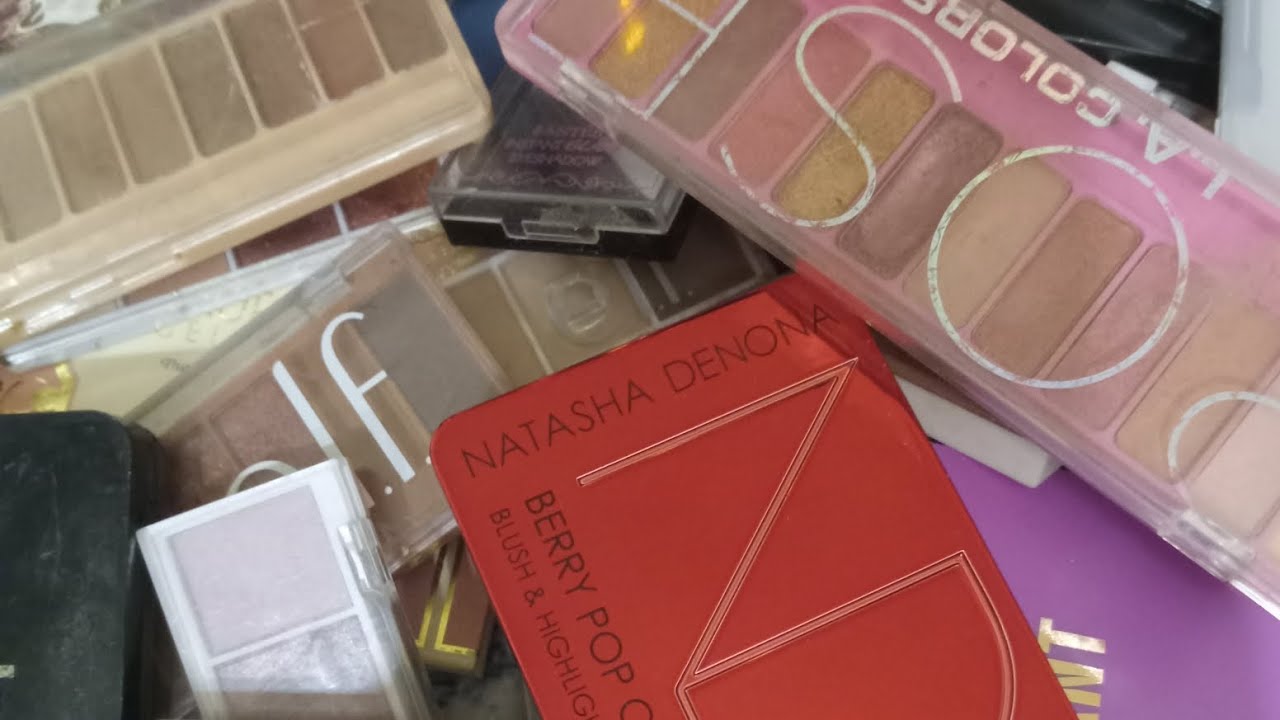  NEW for 2026! Project Pan- PAN IN EVERY PALLETE!! 😱🤯 #makeuplover #projectpan #makeup #shopmissa 