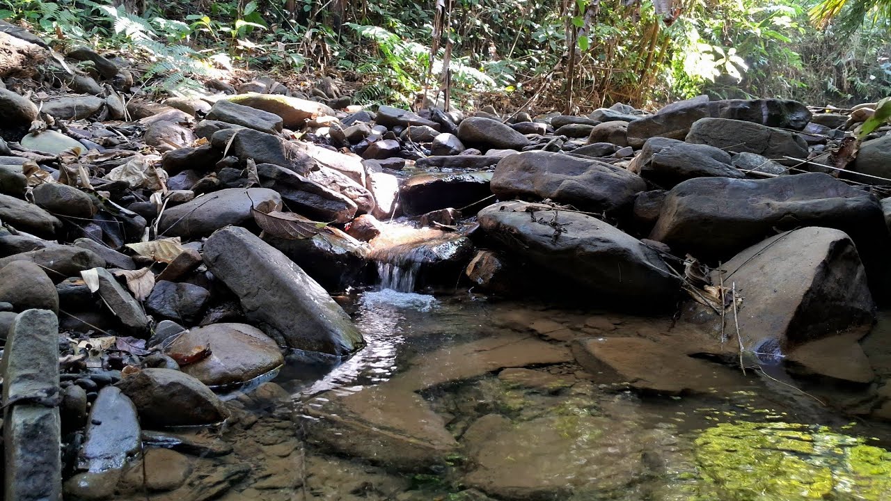 Beautiful Relaxing Nature Sounds For Deep Focus,Sleep,Study,Peace Mind,Calm Forest Stream Flowing.8K