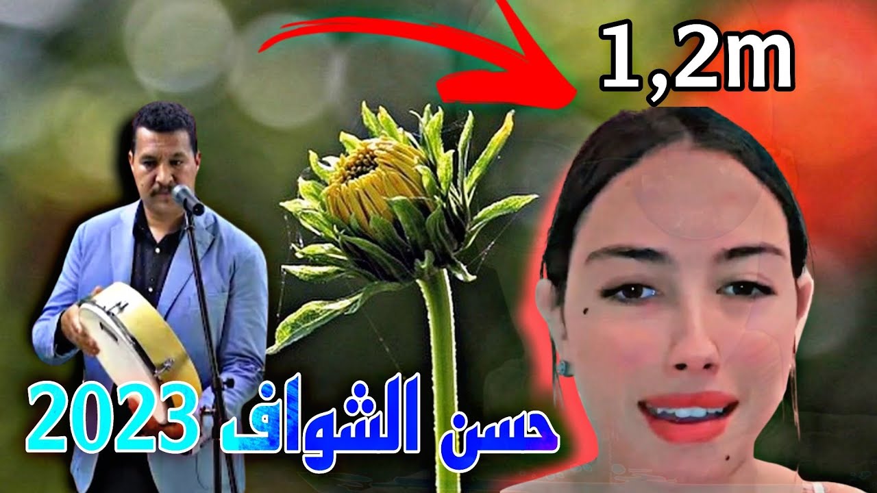تحيدوس حسن الشواف نايضة /Hassan chwaf 2023