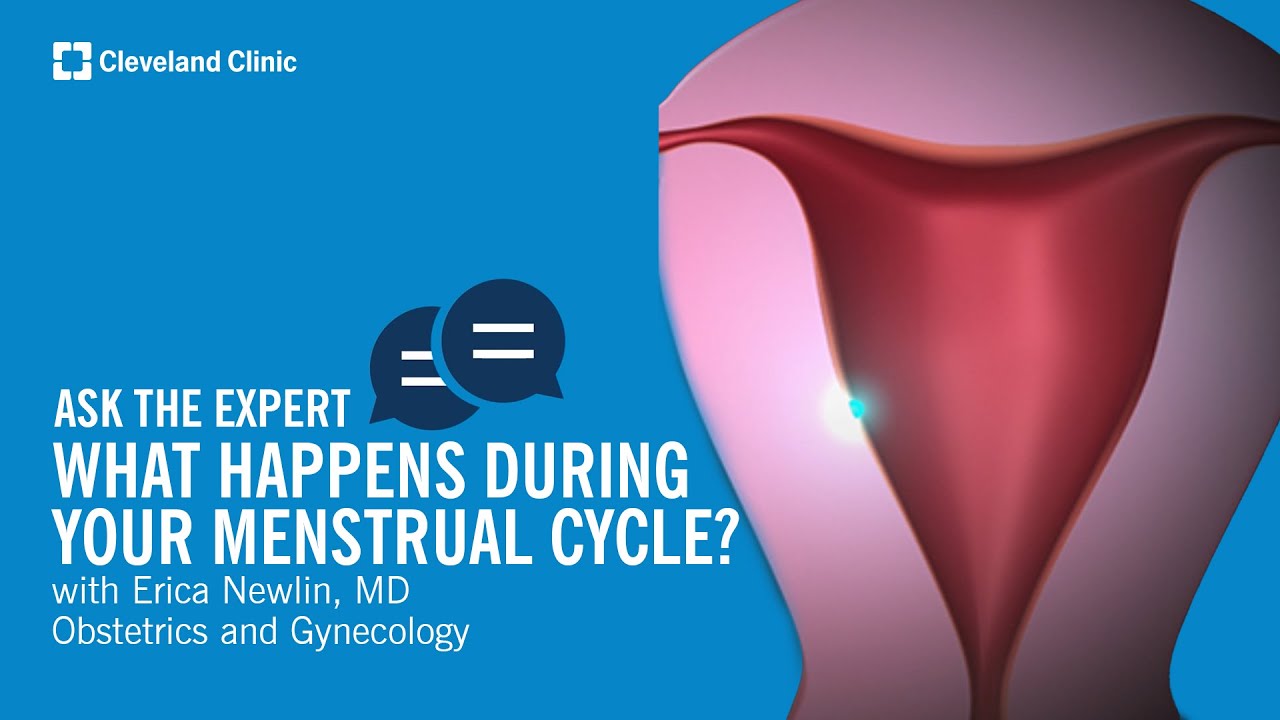 What Happens During Your Menstrual Cycle? | Ask Cleveland Clinic’s Expert