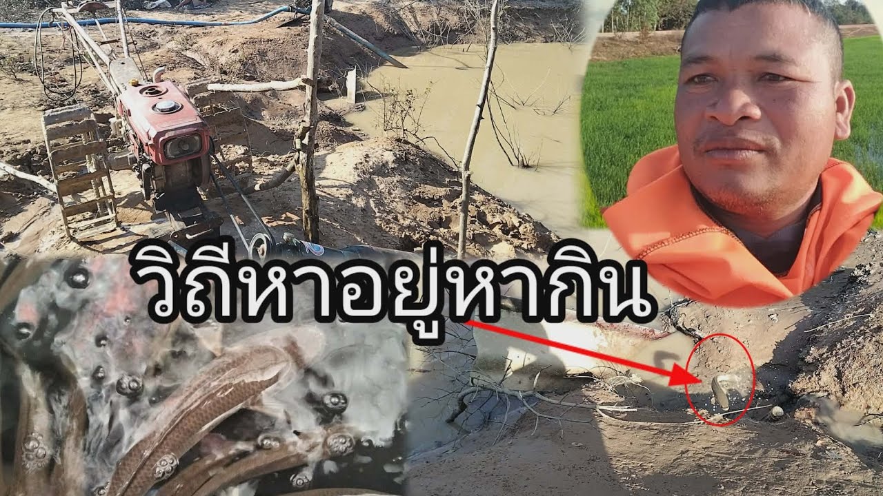 ໄປຫາປານຳກັນເດີ