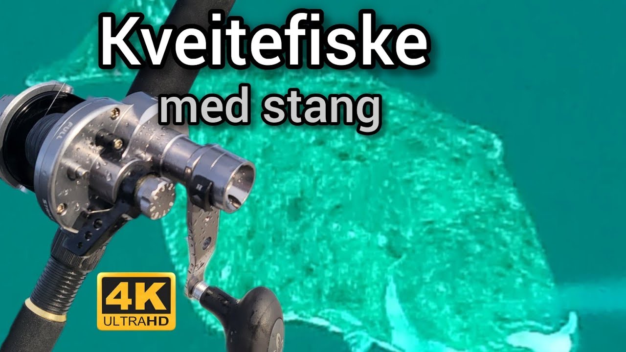 Havfiske Hitra | Frøya. Havfiske etter kveite med stang.