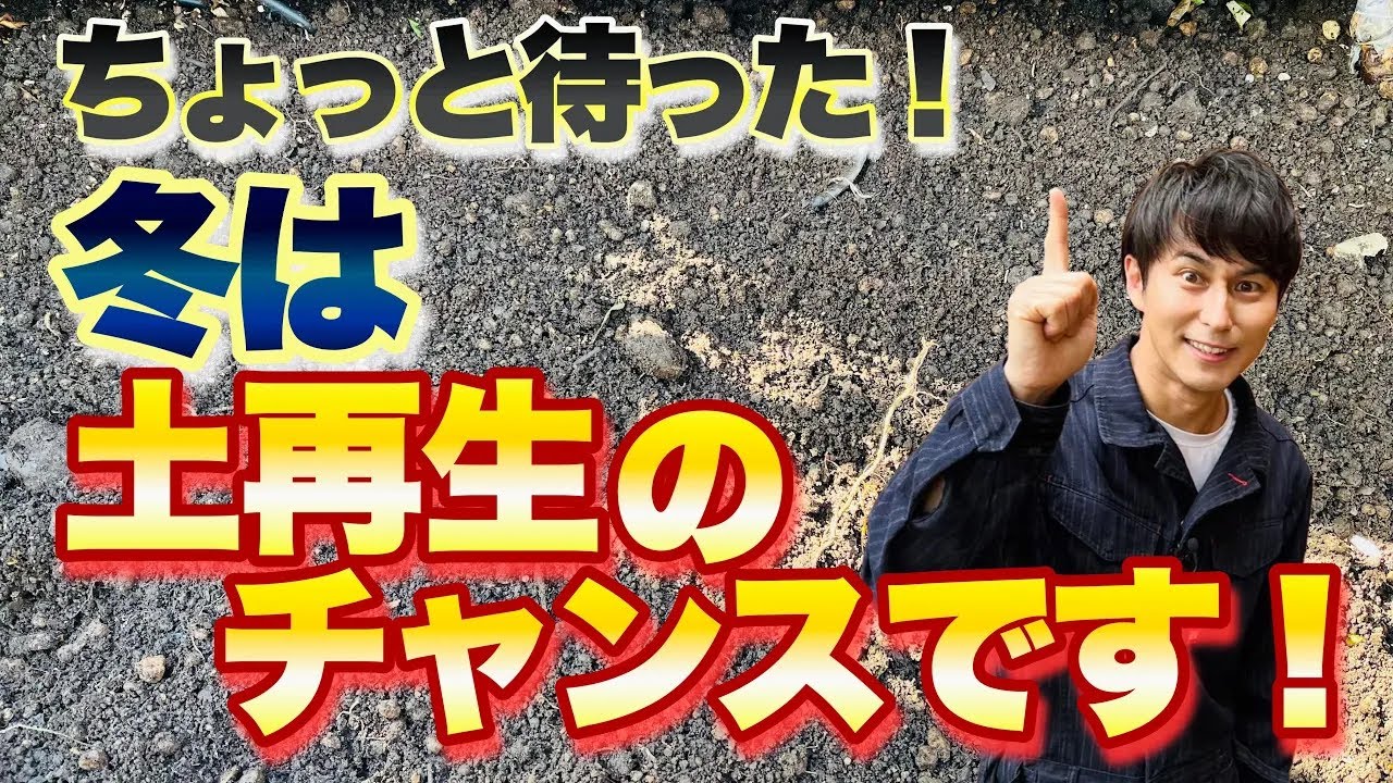 【超簡単】ふるいも必要無し！土の再生は真冬がチャンスなんです【ガーデニング】【園芸】