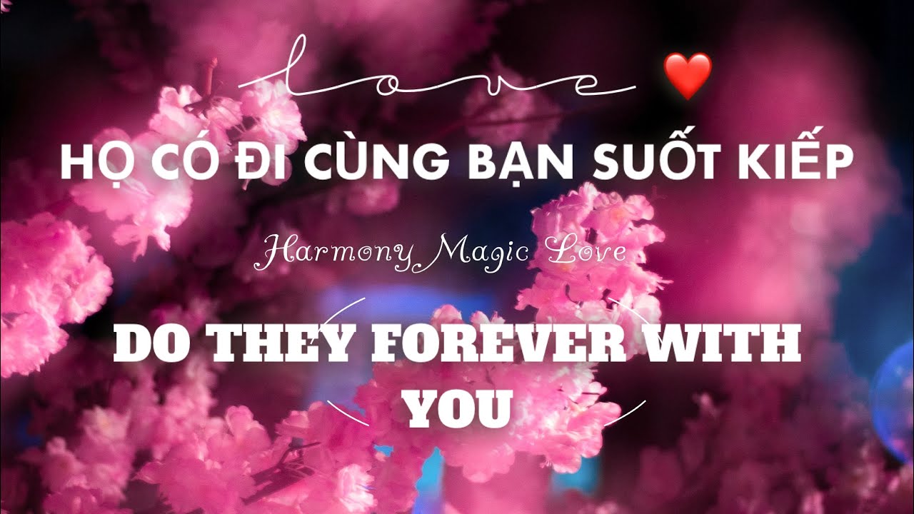 Chọn 1 tụ bài: ❤️[ONE LOVE] DO THEY FOREVER WITH YOU? HỌ CÓ ĐI CÙNG BẠN SUỐT KIẾP- HARMONY