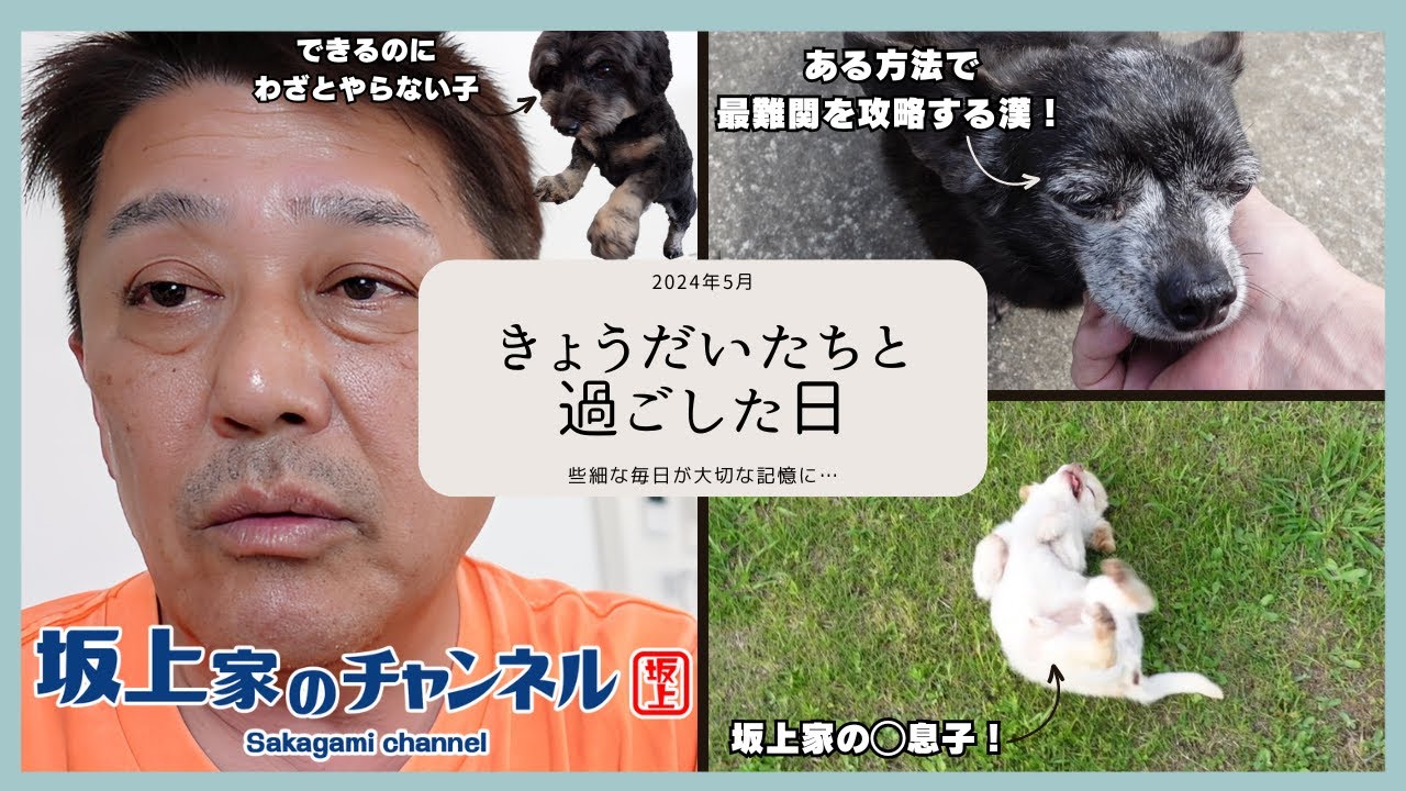 【最新映像回!!】きょうだいたちと過ごした日～些細な1日が大切な記憶に…～