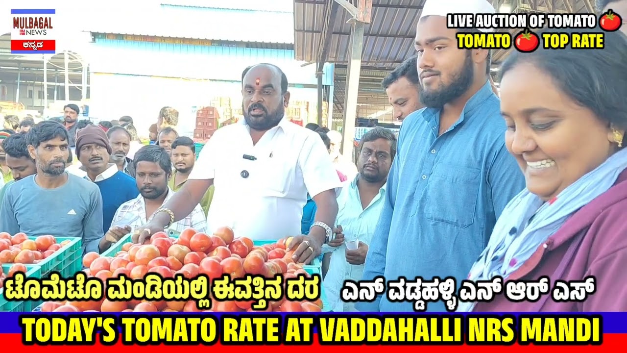 Today's Tomato rate at VADDAHALLI NRS MANDI KARNATAKA @MULBAGALNEWS 