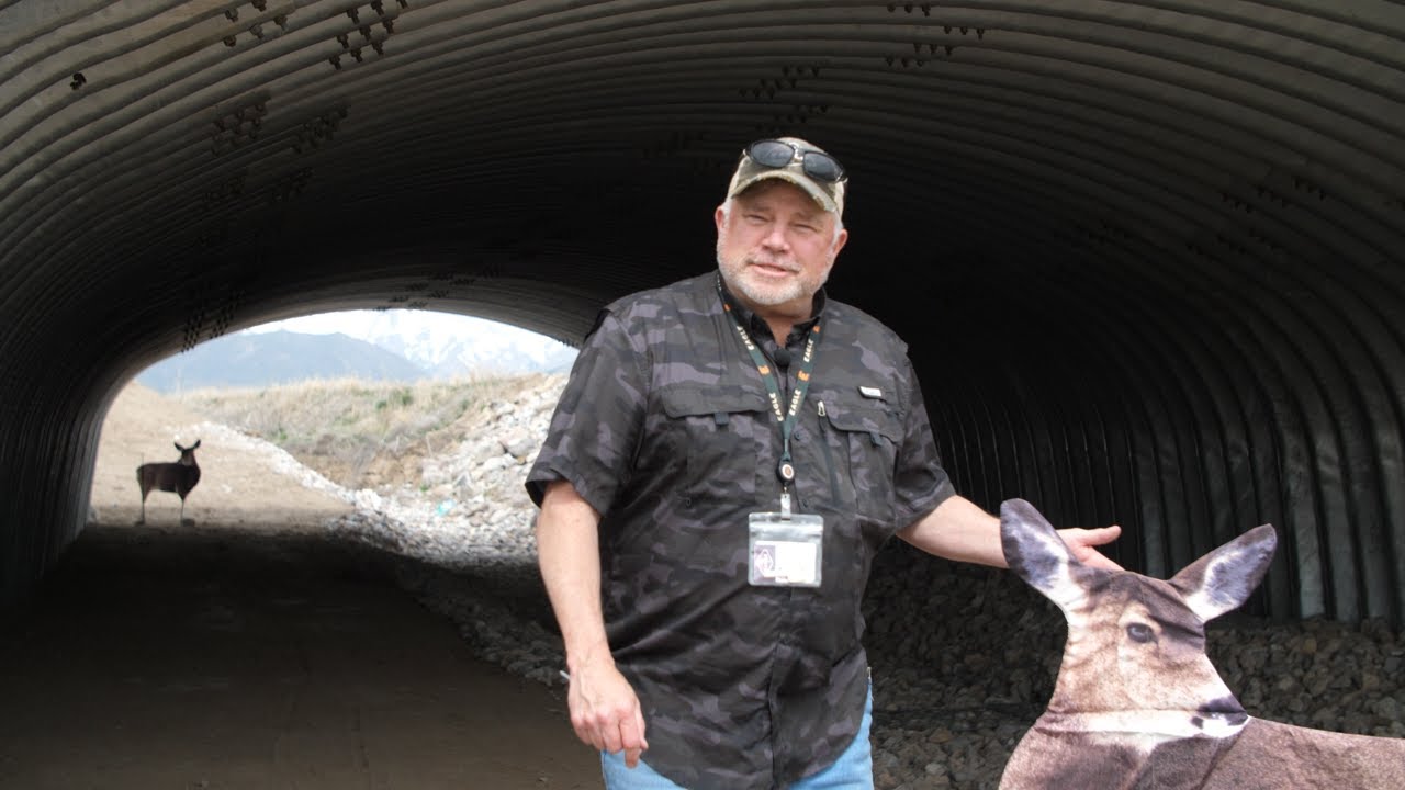 Living with Wildlife | Migration Corridor: Part 1