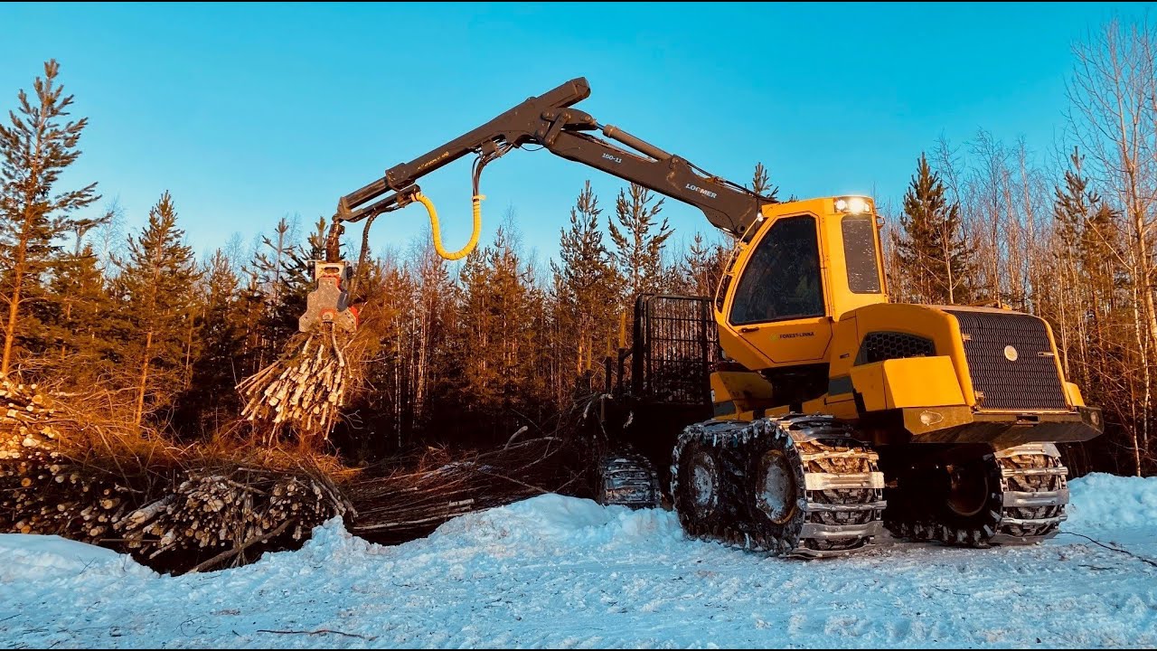 Biomass harvesting for power and heating plants in Finland with fast Nisula 335E+ tree shear!