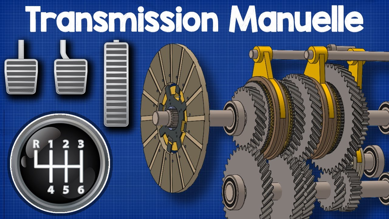 Transmission Manuelle
