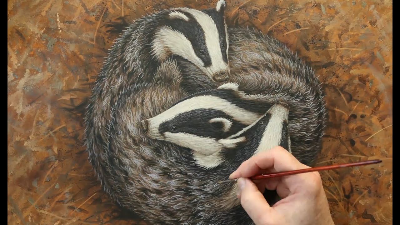 Artwork of Badgers Sleeping | My Wildlife Art | Robert E Fuller