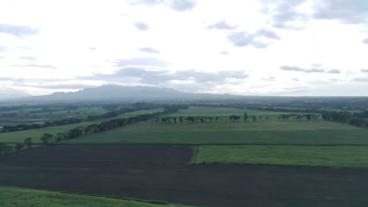 INDAHNYA PAGI HARI DIDESA... 