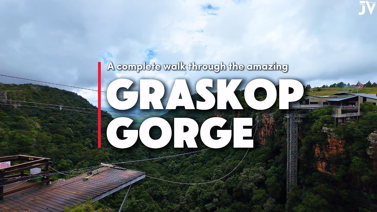 🚀 Graskop Gorge Walkthrough! Zipline, Suspension Bridge & Breathtaking Views! 🌿✨