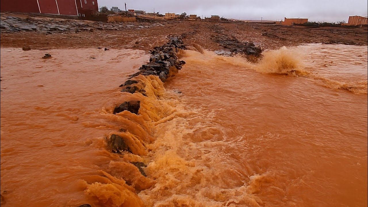 تساقطات مطرية مهمة بالمغرب تُنعش الأرض وتبشّر بموسم فلاحي جيد#أمطار_المغرب#مطر#الطقس#المغرب#Rain