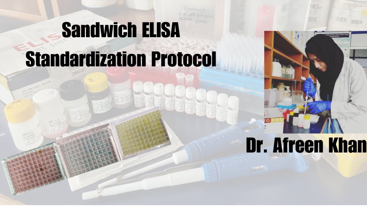 Sandwich ELISA  Standardization Protocol (DRG- Insulin)