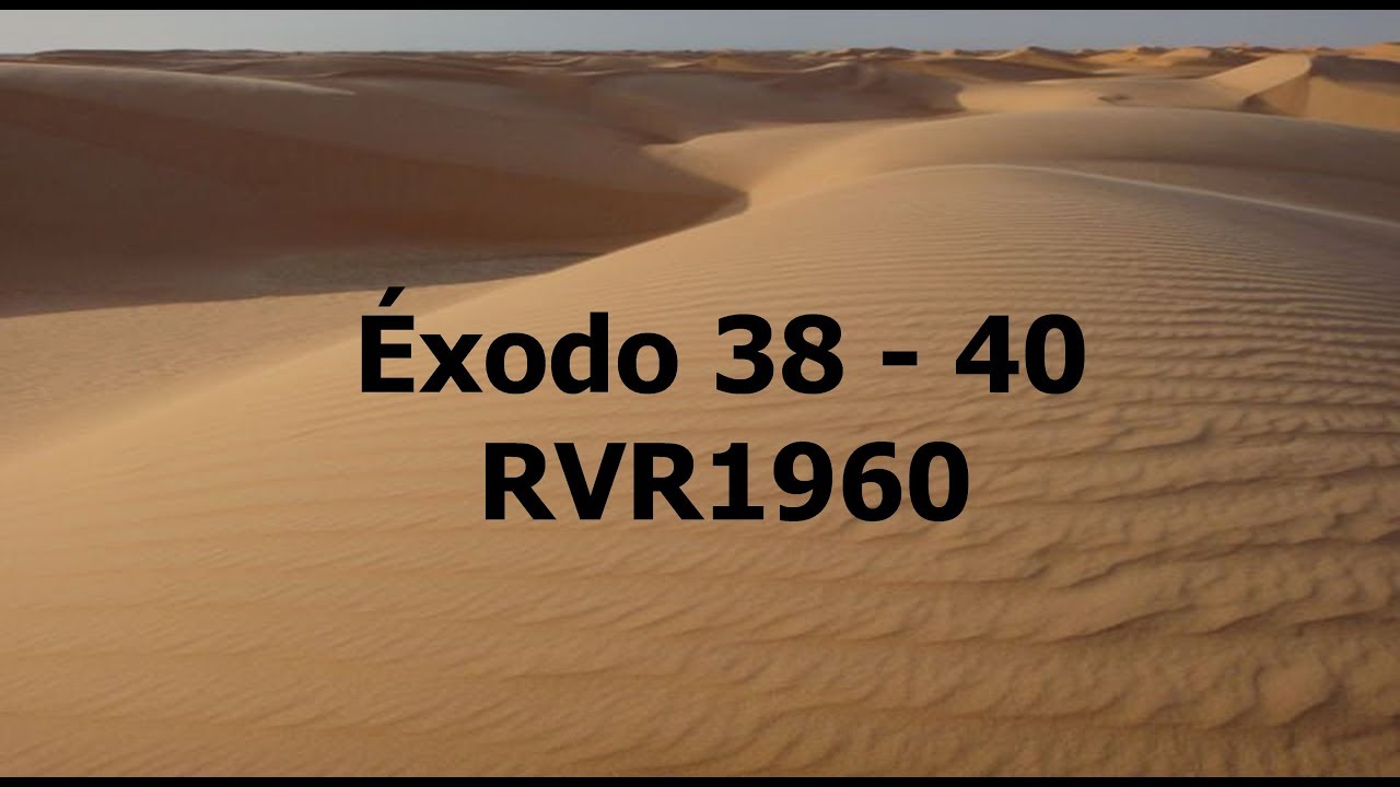 La Biblia hablada/Éxodo 38 - 40